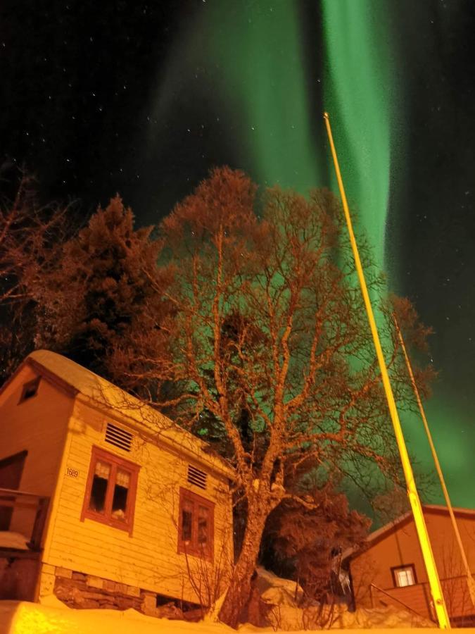 Вилла Senja Skaland Melkarhola Экстерьер фото